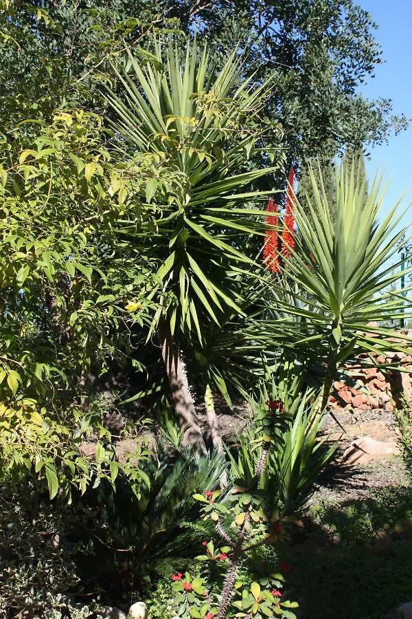 Country house Quinta Teresinha Guest House Silves